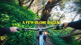 Wellington's MTB Trails Are Just Built...