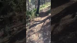Reconociendo a pie el terreno de mi próxima...