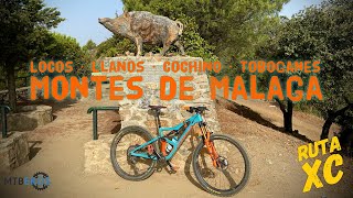  ⛰ Locos - Llanos - Cochino - Toboganes  |...