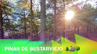  Pinar de Bustarviejo  | Bustarviejo (Madrid)...