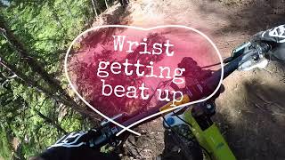 Sabretooth Horse, Creekside | Whistler Bike Park