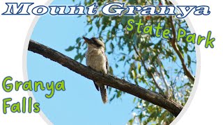 Bushwalking in Mount Granya State Park and to...