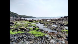 Ride to Penhale Campsite to Polkerris Beach -...