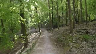 Launch Pad - Forest of Dean - UK - Mountain...