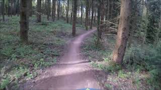 Countdown - Forest of Dean - UK - Mountain...