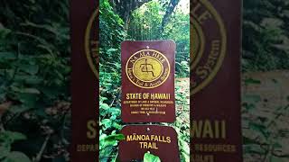 Manoa Falls - Oahu - Hawii - Hike - Trek - Walk