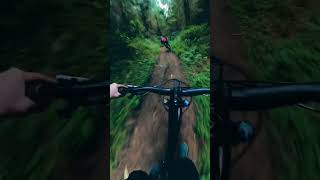 Now this is a flow trail!! Cotopaxi, Ecuador