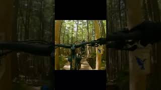Swing! Some wood bridges  #shorts