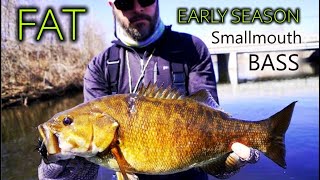 Early Season Spring Smallmouth Fishing for FAT...