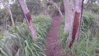 Ohana Trail - Oahu - Hawaii - Mountain bike - MTB