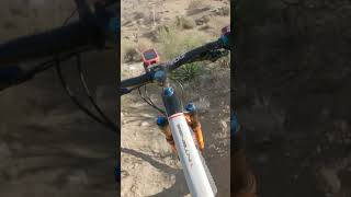 Palm Canyon Epic Flow & Chunk #Shorts