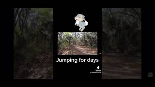 We have Liftoff!!!