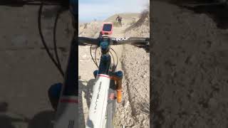 Palm Canyon Epic Fun #shorts