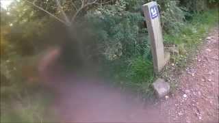 Stile Cop - Red Run - Mountain biking -...