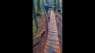 The Infamous Millennium Log