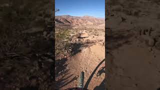 Fun Section in the Desert mtb #shorts