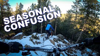Seasonal Confusion | Maryland Mountain in the...