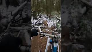 Ladies only in a beautiful winter #mtb #biking...