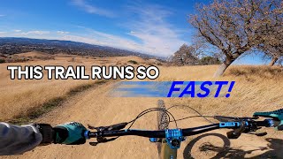 FAST, FUN, AND FLOWING. A MTB BEGINNERS DREAM...