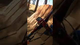 Wood Features Fun #shorts