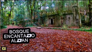 Bosque encantado de Aldán - CANGAS  RÍAS...