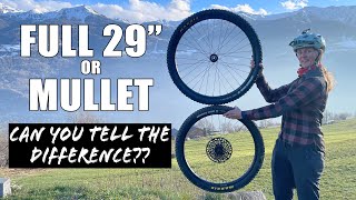 Full 29' v Mullet MX Mixed Wheel - Can You...