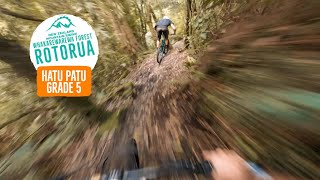 Techy, steep, in the native! Hatu Patu, Rotorua