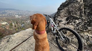 Frooorider