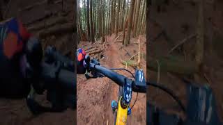 When the Trail Fights Back 