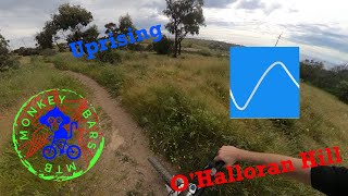 O'Halloran Hill - Uprising - Blue - Climbing