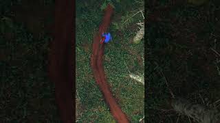 The Trail is The Trophy!