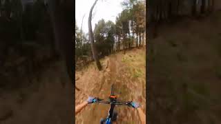 Brown Pow  One of my favorite trails in...