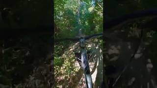 Fork Upgrade is a Game Changer on Hardtails,...