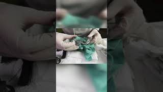 Shimano XT MTB Derailleur Service Timelapse