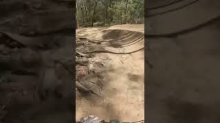 Dual slalom track #mountainbike #shorts #mtb...