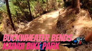 Flowy Buckwheater Bends - Kainui Bike Park