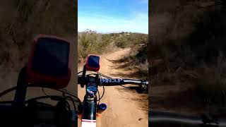 Greer MTB #shorts