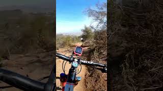 Greer MTB Fun #shorts