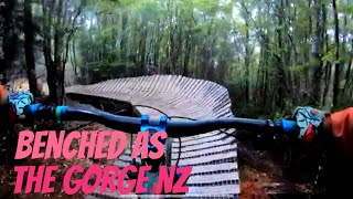Misty and moody Benched As - Wairoa Gorge,...