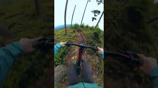E bike Rip!