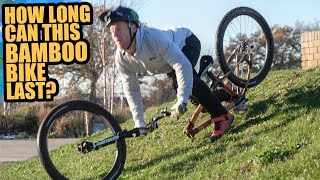 HOW LONG CAN THIS BAMBOO MOUNTAIN BIKE FRAME LAST?