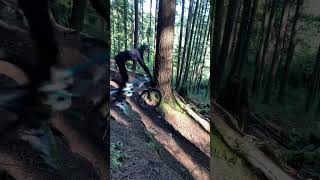 Sketch On The Shore #mtb #biking...