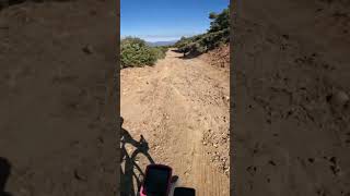 Gravel Downhill #Shorts