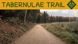 Tabernulae Trail 11.12.2022 Trail Running...