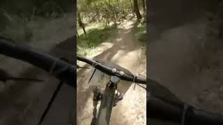 Just send it  #shorts #mountainbike #mtb...