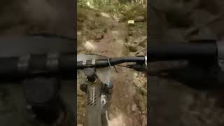 That’s close  #shorts #mountainbike #crash...
