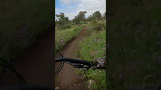 No brakes.. #shorts #mountainbike #mtb #jumps...