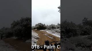 Snowy Palm Canyon Epic #shorts