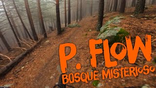 ‍♀️ ⚡️ P. Flow  | Sierra Norte de...