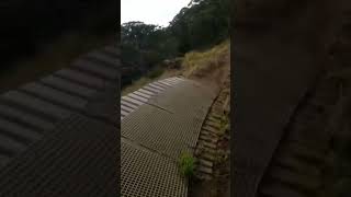 Wallride  #mountainbike #shorts
